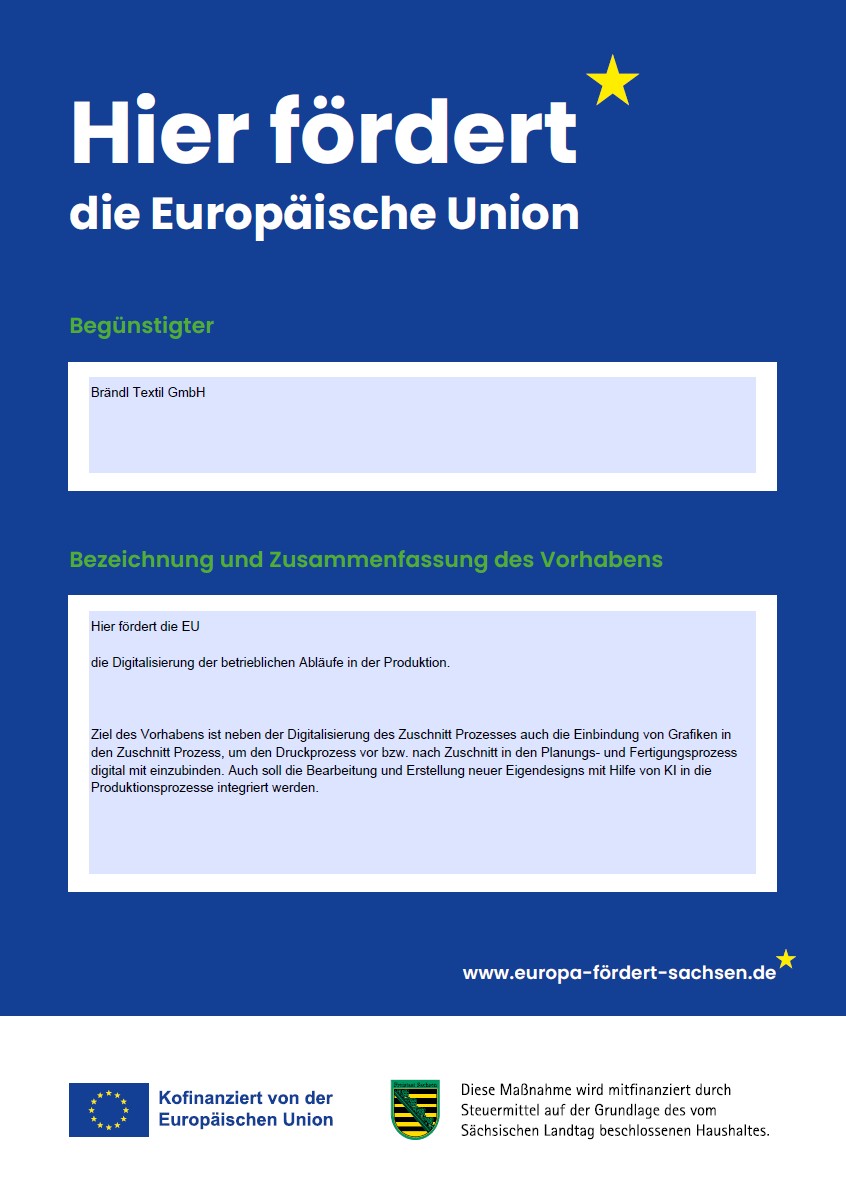 EU_Digitalisierung